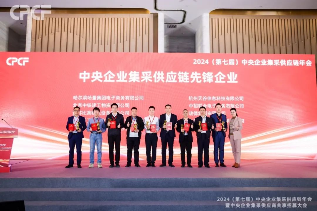 喜报！彩霸王官网荣获2024年度（CPCF）中央企业集采供应链年会先锋企业荣誉称号